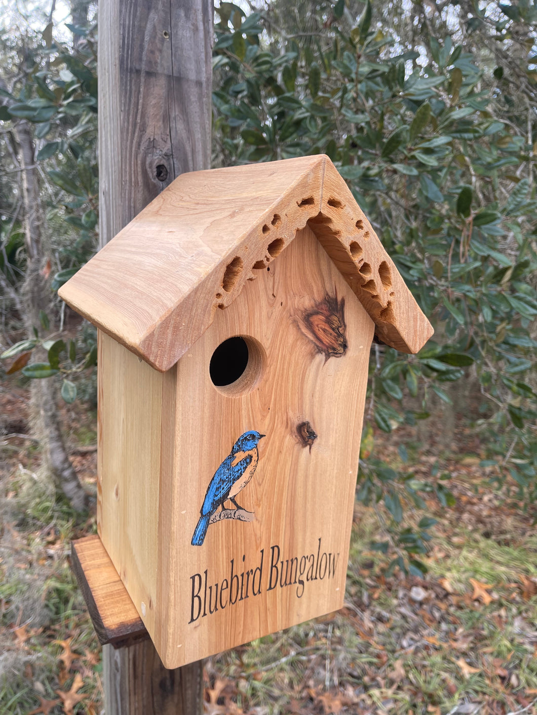 Bluebird Bungalow