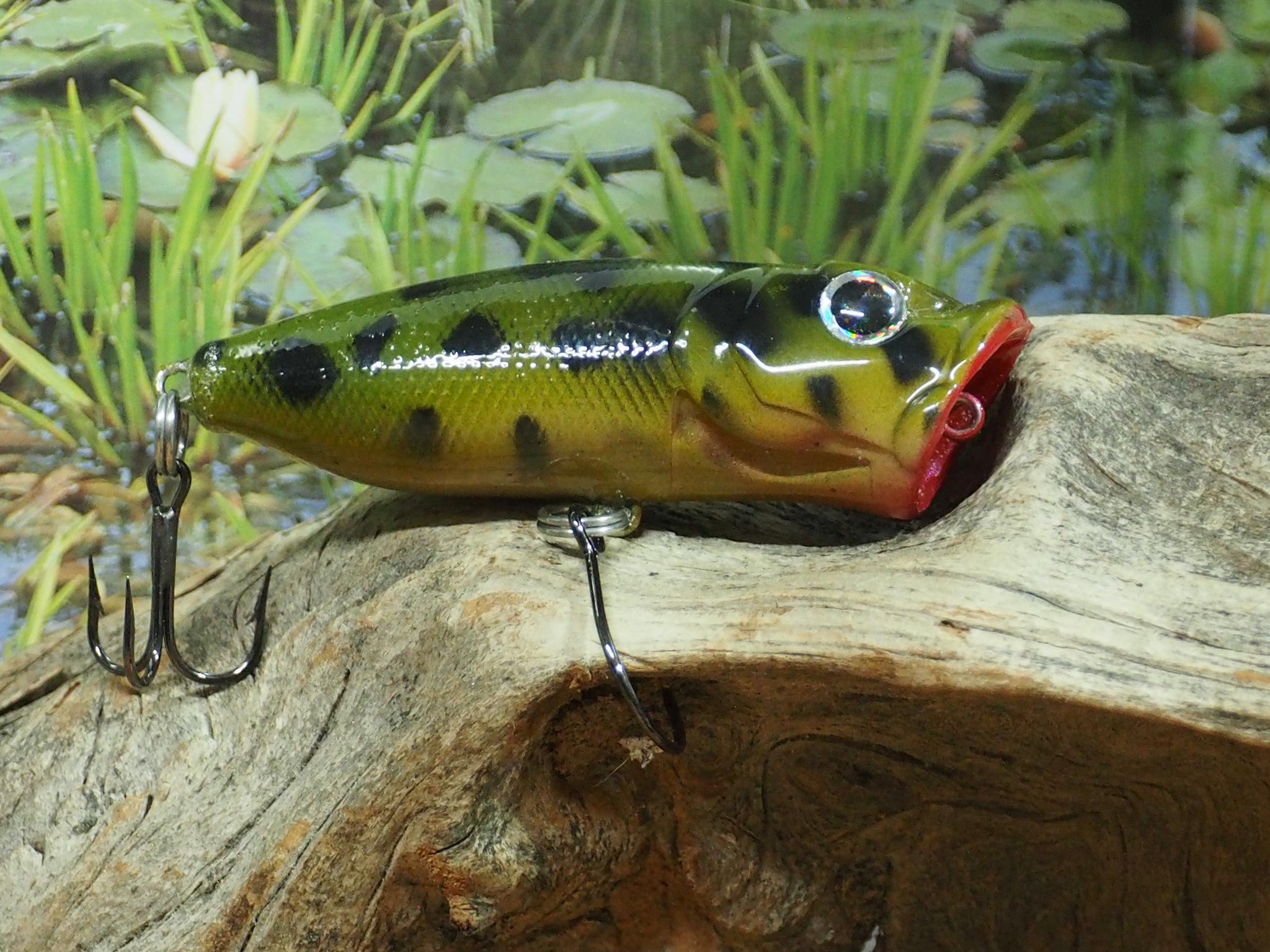 $8 cad for 5 top water frogs what look decent! : r/Fishing_Gear